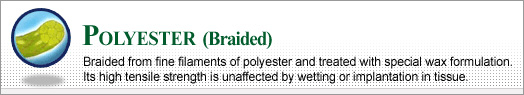 Polyester (Braided)